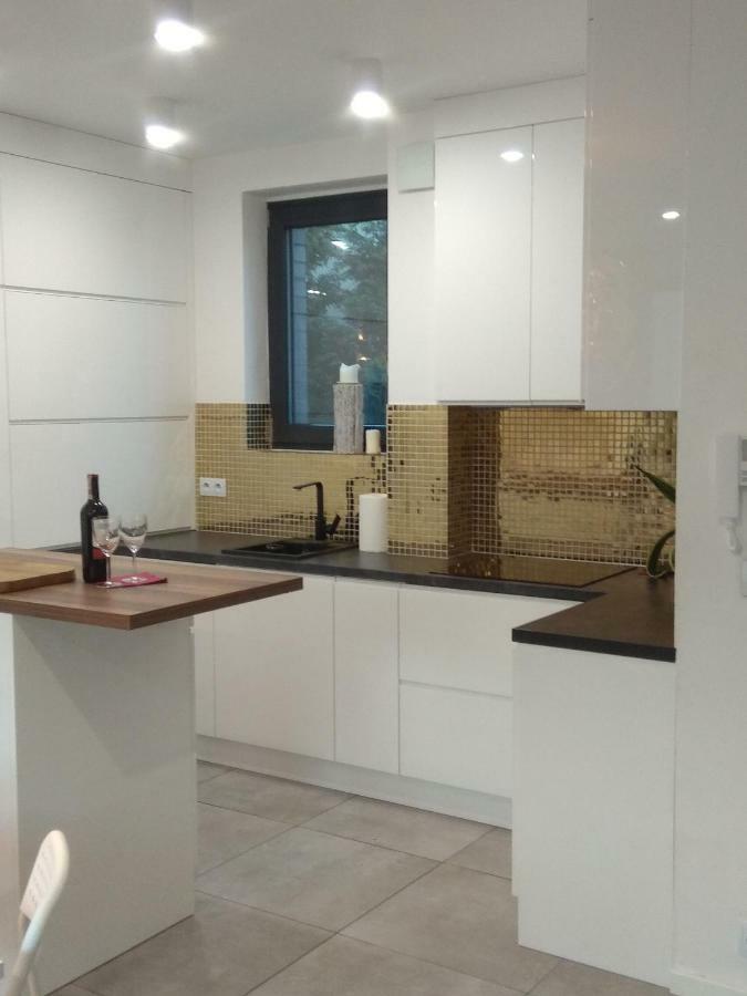Luxury Apartment With Own Parking Chorzow Exterior photo